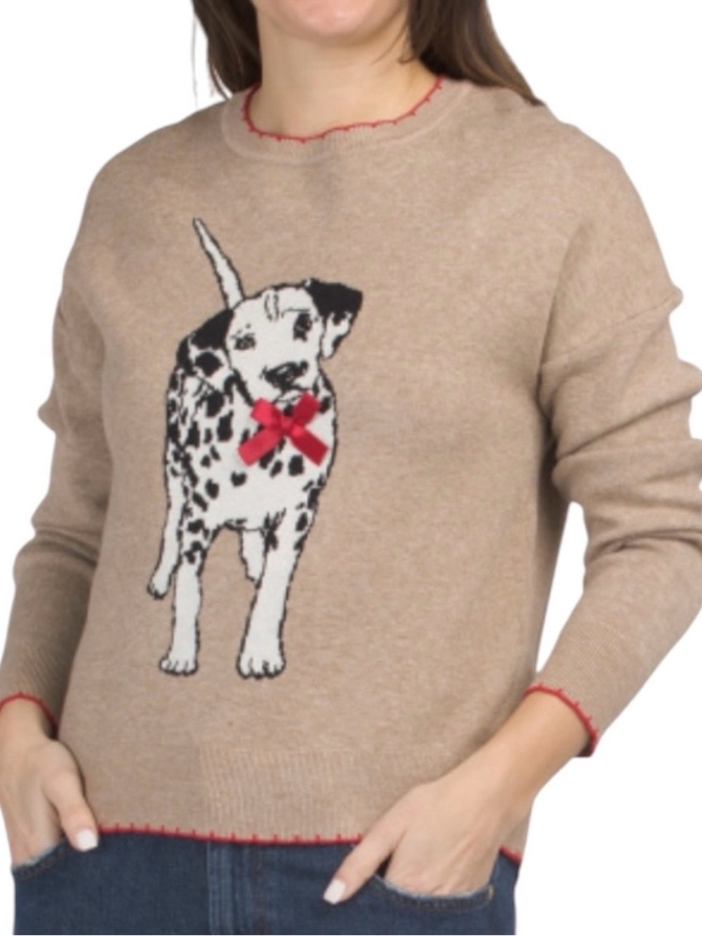 🆕🐾 Dalmatian With Bow Long Sleeve Sweater Kaily K Medium NWT - Picture 12 of 13